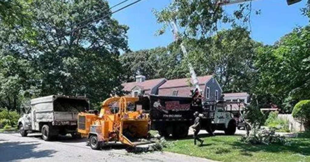 Tree Busters of Cape Cod